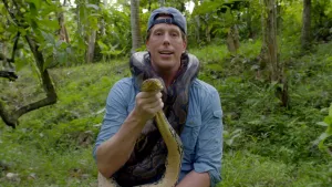 Een foto van Freek Vonk die een python om zijn nek heeft zitten en de slang vast houdt aan zijn hoofd.