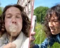 Op zoek naar koolzaad | SoortSafari