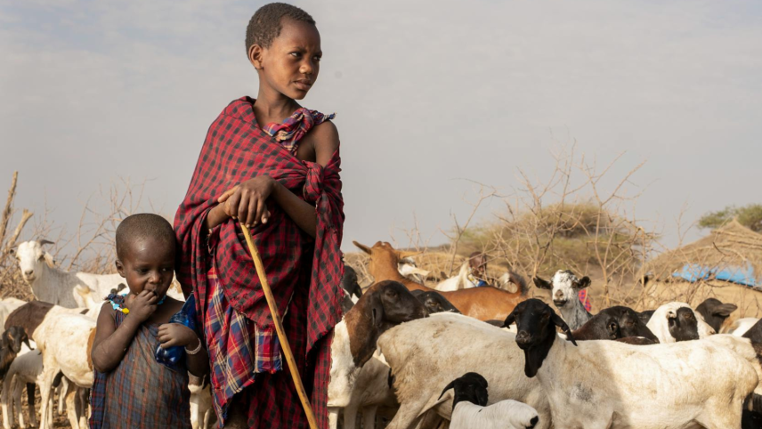 Een foto van twee masai kinderne bij een kudde geiten in Kenia, op de achtergrond zie je een hutje en een soort schuur.