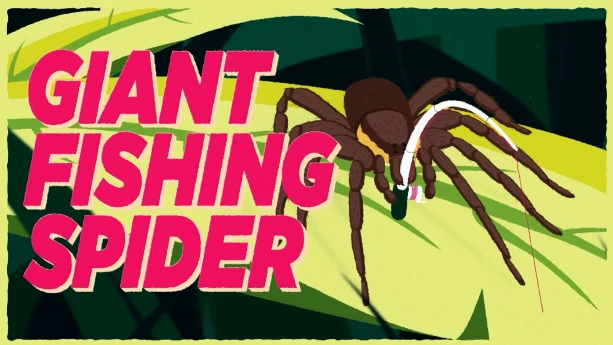 Illustratie van bruine spin op groen blad.