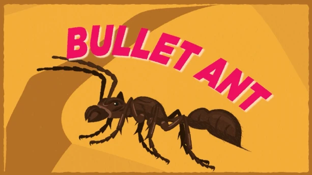 Illustratie van kogelmier op gele achtergrond.