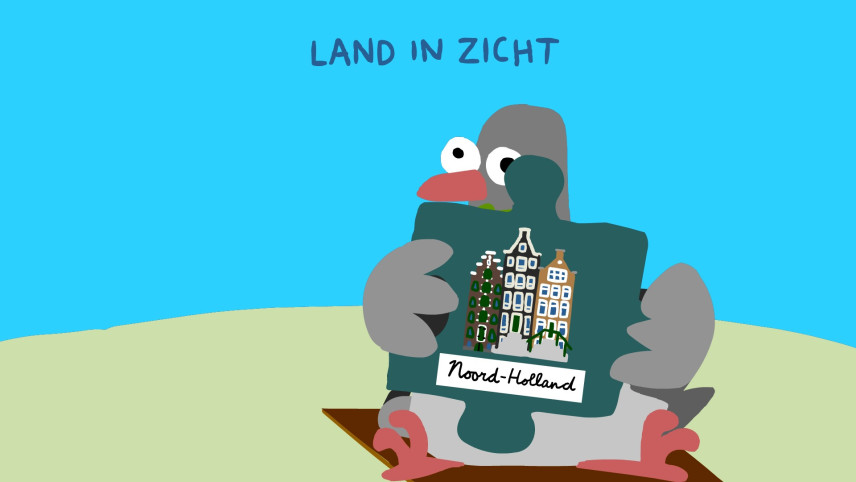 Illustratie van duif met puzzelstukje met grachtenpanden.