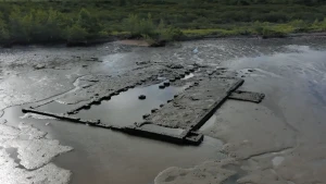 Foto van een drooggevallen oude katoenplantage in Suriname.