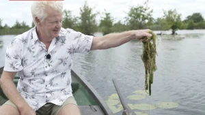 Foto van een man in een roeiboot die een waterplant laat zien.
