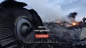 Foto van de wrakstukken van de MH17, 17 juli 2014.