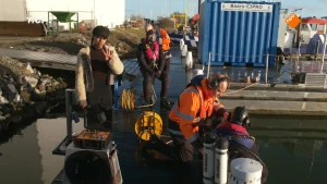 Foto van presentator op de kade waar duikers in zwarte wetsuits zich klaarmaken om het water in te gaan. 