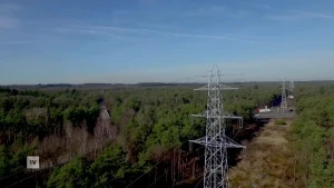 Een foto van een bos in vogelperspectief, je ziet de hoogspanningsmasten er bovenuit komen, op de achtergrond zie je een snelweg.