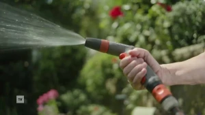 Een foto van een hand die een tuinslangs vasthoudt, er sproeit water uit. Op de achtergrond zie je struiken met rode bloemen.
