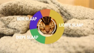 Een foto van een schematische weergave van de slaapcyclus met rem slaap, diepe slaap en lichte slaap, op de achtergrond ligt een deken.