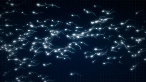 Een foto van zwemmende zaadcellen, ze gaan naar links.