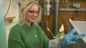 Janouk houdt een bevroren roos vast in een lab waar stikstof wordt gemaakt.