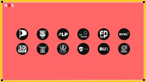 De logo's van 12 politieke partijen op een rijtje: de Piratenpartij, NL Plan, LP, Vrij Verbond, FNP, BVNL, 50Plus, Ellect, PVDR, De Linie, Bij1 en Vrede voor Dieren.