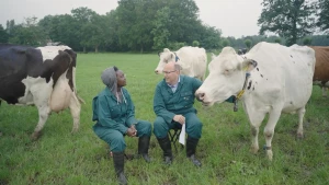 Een foto van presentator Tirsa en een man die in en weiland met koeien zitten op campingstoeltjes. Ze dragen beide een overall. De man aait een koe die dichtbij hem staat.