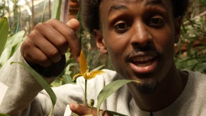 Een close up foto van de presentator die een geel plantje laat zien.