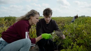 Foto van presentator Petra Grijzen op het land met een onderzoeker, samen bekijken ze de wortels van aardappelplanten.