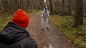 Foto van Iemand met rode muts komt een als wolf verklede jongen tegen op een bospad.