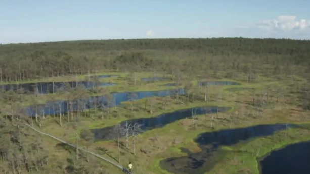 Een foto van een Ests landschap met bomen en meertjes.