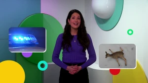 Foto van presentatrice Milou voor het Jeugdjournaal decor met beelden van wat er in het nieuws is: blauwe zwaaitlichten en vastgevroren herten.