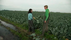 Presentatrice en boer in een broccoliveld