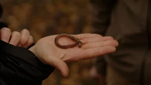 Water verplaatsen met zijn lijf