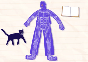 Illustratie van mensfiguur met spieren erop weergegeven.