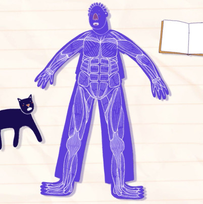 Illustratie van mensfiguur met spieren erop weergegeven.