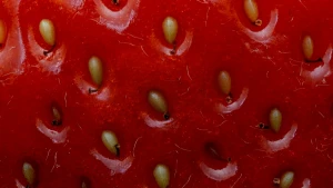 Foto van een aardbei, ingezoomd op de gele pitjes in de rode huid.