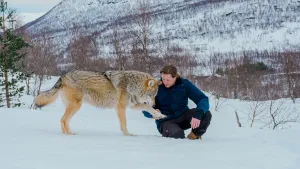 Freek tussen de wolven