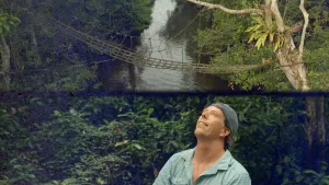 Apenbrug en de wandelende tak