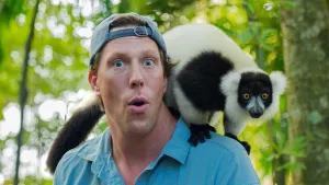 Schreeuwende pluizenbollen