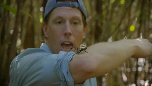 De spinnenkoningin van Madagaskar