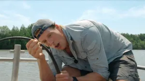 Gevaarlijke rog met gifstekel