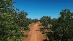 Mini-roofdier in de dop