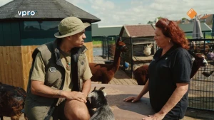 Mobiele knuffelboerderij