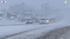 Een foto van auto's die over de weg door de sneeuw rijden in Amerika.