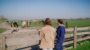 Een foto van een weiland waar de koeien in komen lopen, aan de rand staat een hek, daar staan twee vrouwen te kijken naar de koeien, 1 in overall, 1 in een beige jas, je ziet hen op de rug.