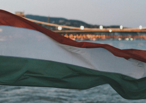 Vlag van Hongarije