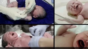 Foto van vier baby's die net zijn geboren.