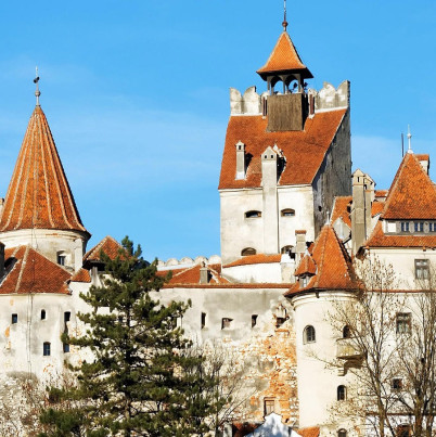 Foto van Middeleeuws kasteel met torentjes met oranje dakpannen, omringd door bomen, met blauwe lucht.