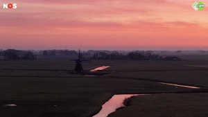 Nieuws over hoogbegaafdheid en oranje lucht