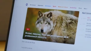 Foto van website met nieuwsbericht over probleemwolf, de kop luidt: Brutaal, bijtgraag, maar niet gecorrigeerd. Dit is probleemwolf GW3237M.