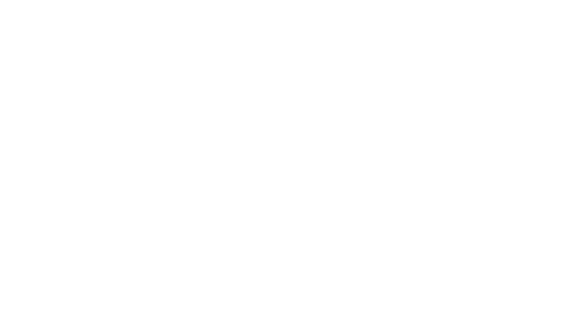 BNNVARA logo wit